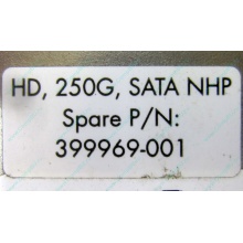 HP 250G 7.2k 432337-001/ 399699-001 / 397377-004 SATA HDD (Бийск)