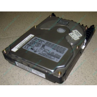 Жесткий диск 18.4Gb Quantum Atlas 10K III U160 SCSI (Бийск)
