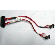 SATA-кабель для корзины HDD HP 451782-001 459190-001 для HP ML310 G5 (Бийск)