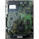 Жесткий диск 18.4Gb Quantum Atlas 10K III U160 SCSI (Бийск)