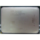 AMD Opteron 6128 OS6128WKT8EGO (Бийск)