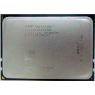 AMD Opteron 6128 OS6128WKT8EGO (Бийск)